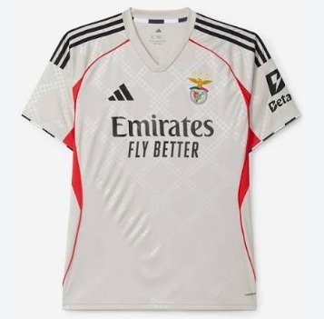 Benfica Cinza